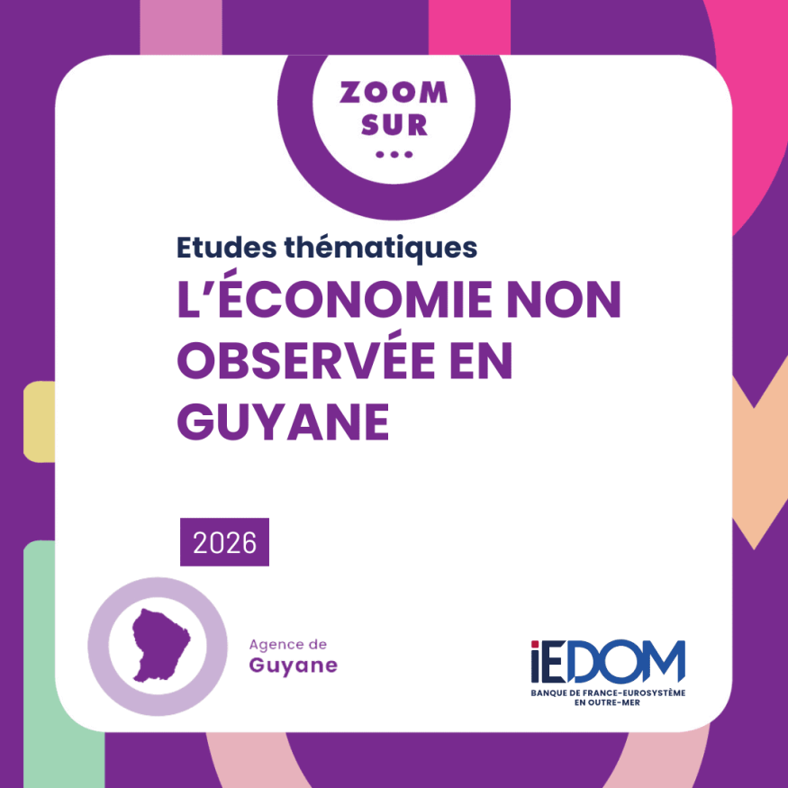 Guyane : l’économie informelle, un pilier fragile du territoire