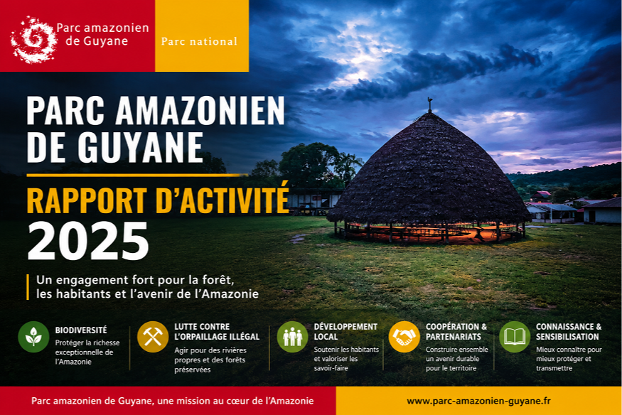 Parc amazonien de Guyane : un bilan 2025 entre protection de la forêt et défis du territoire