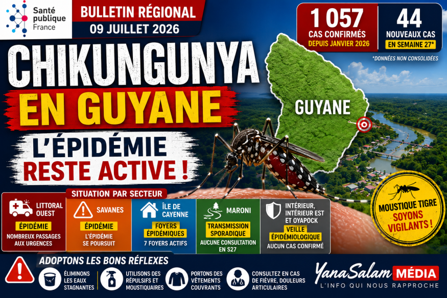 Chikungunya en Guyane : plus de 1 050 cas confirmés, l'épidémie reste active